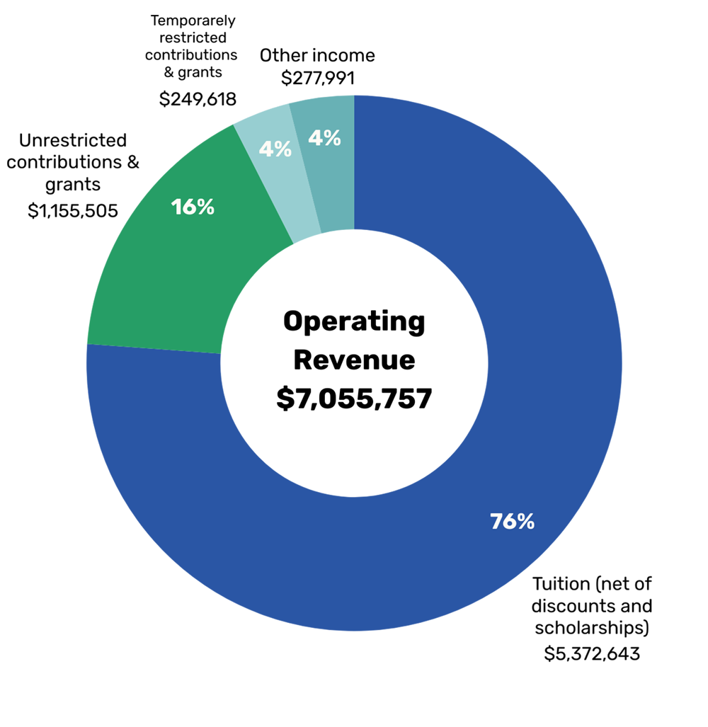 ANNUAL REPORT 2025 4