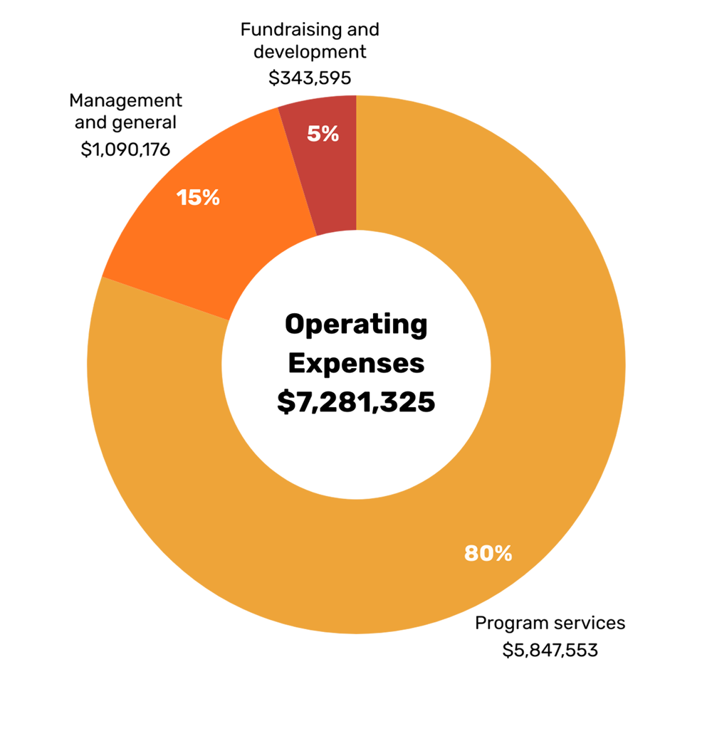 ANNUAL REPORT 2025 5